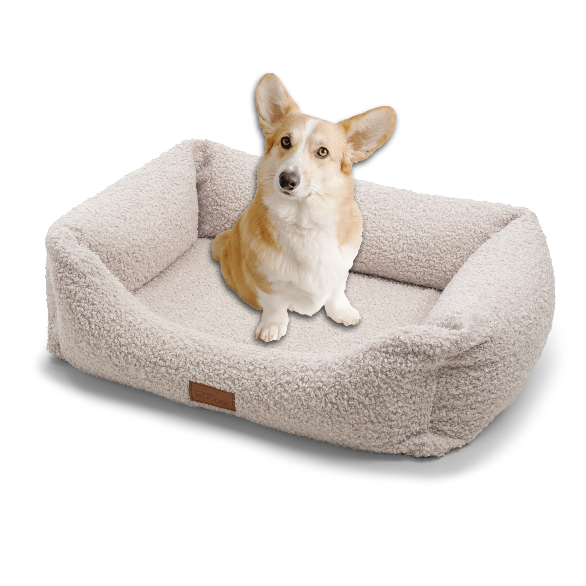 Corgi sitting on a cozy cream orthopedic dog bed with a raised edge, perfect for joint support and relaxation