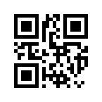 Woodek Design gift card