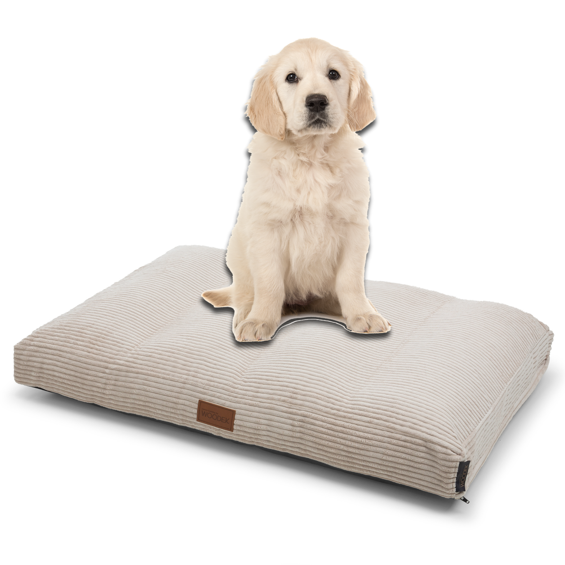 Golden retriever puppy sitting on a cozy dog mattress in beige, crafted from durable and soft materials