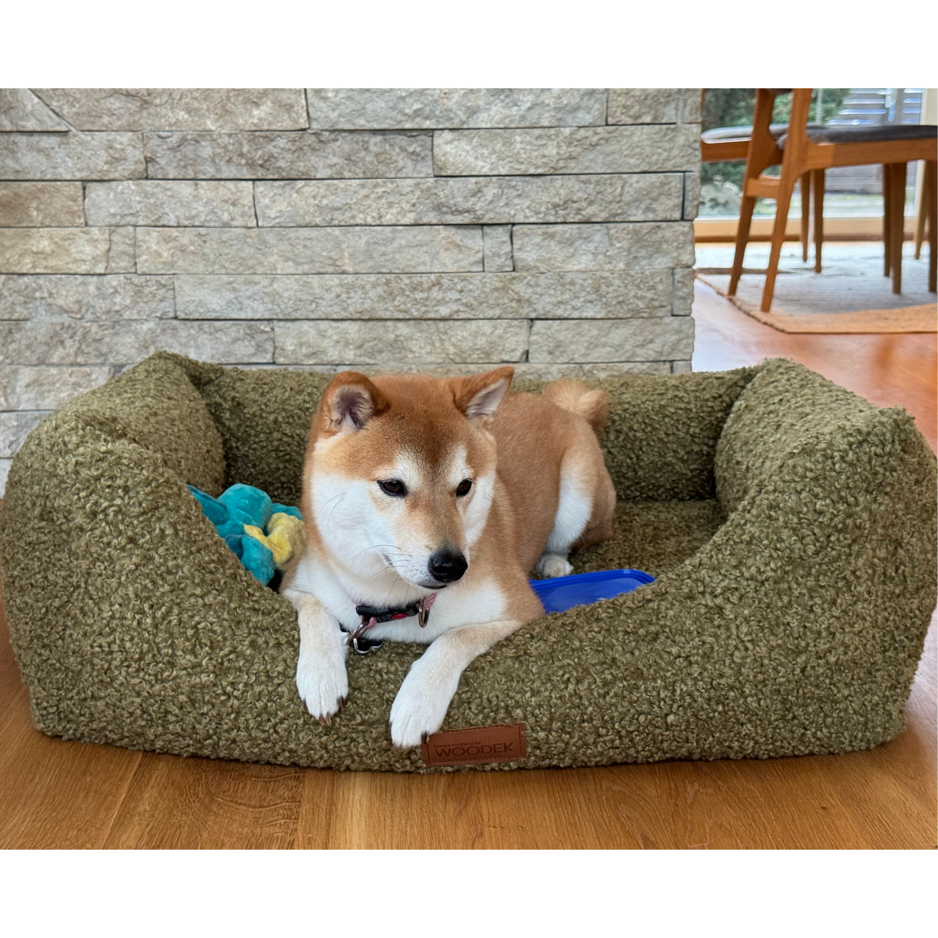 Orthopedic Dog Bed in Green with Luxurious Removable Fabric