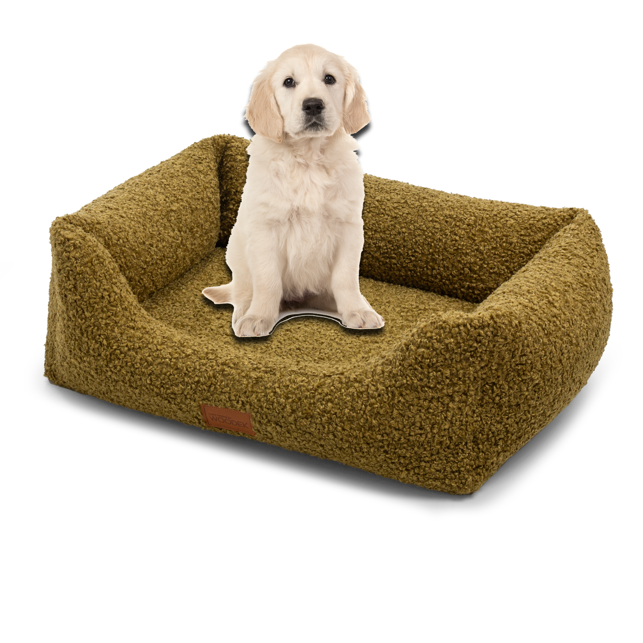 Golden retriever puppy sitting on a cozy orthopedic dog bed in green, made from soft, pet-friendly materials