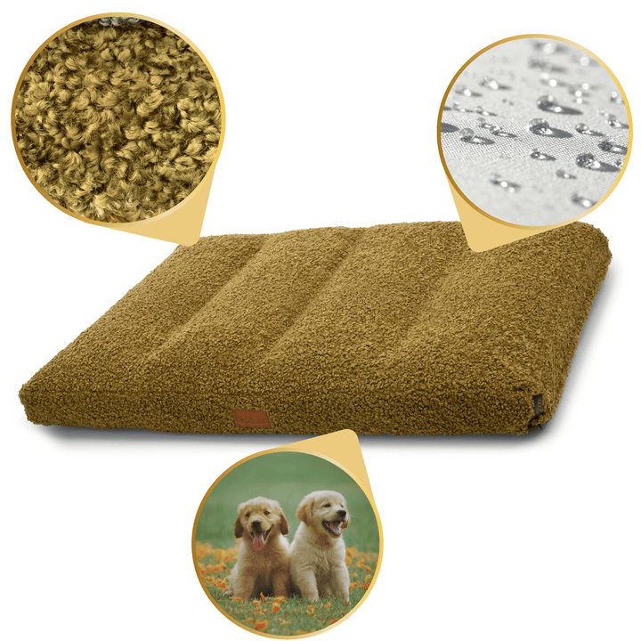 dog bed Teddy in green colour with removable and washable cover