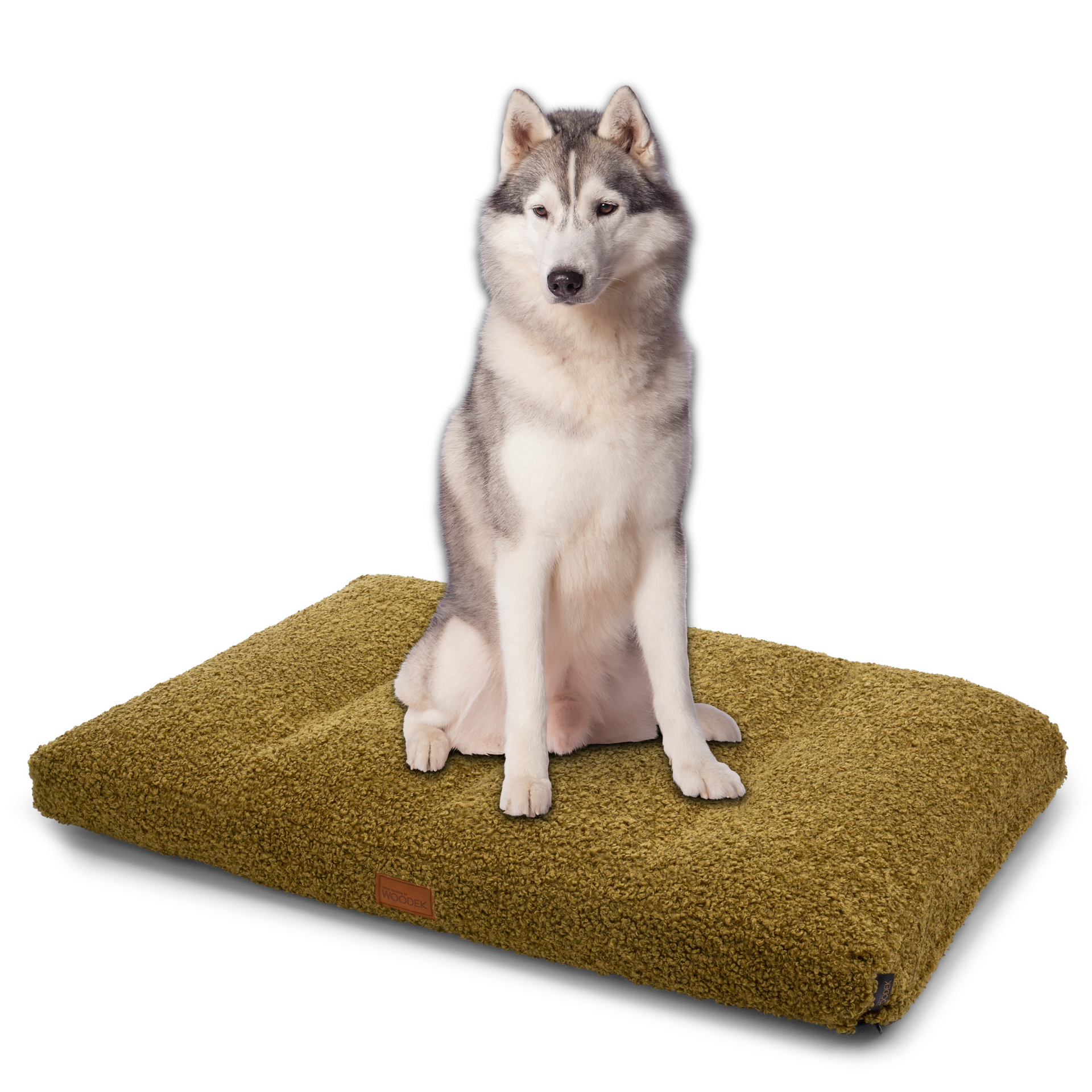 Extra large dog bed in green colour with removable and washable cover