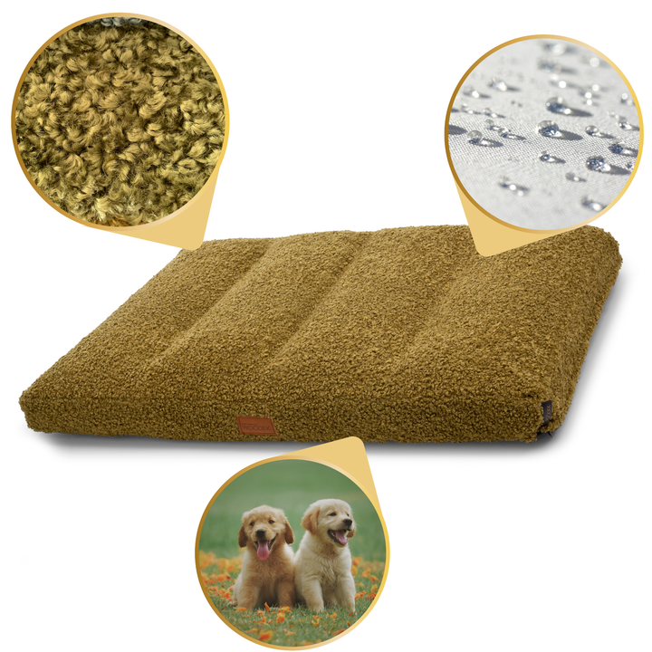 dog bed Teddy in green colour with removable and washable cover