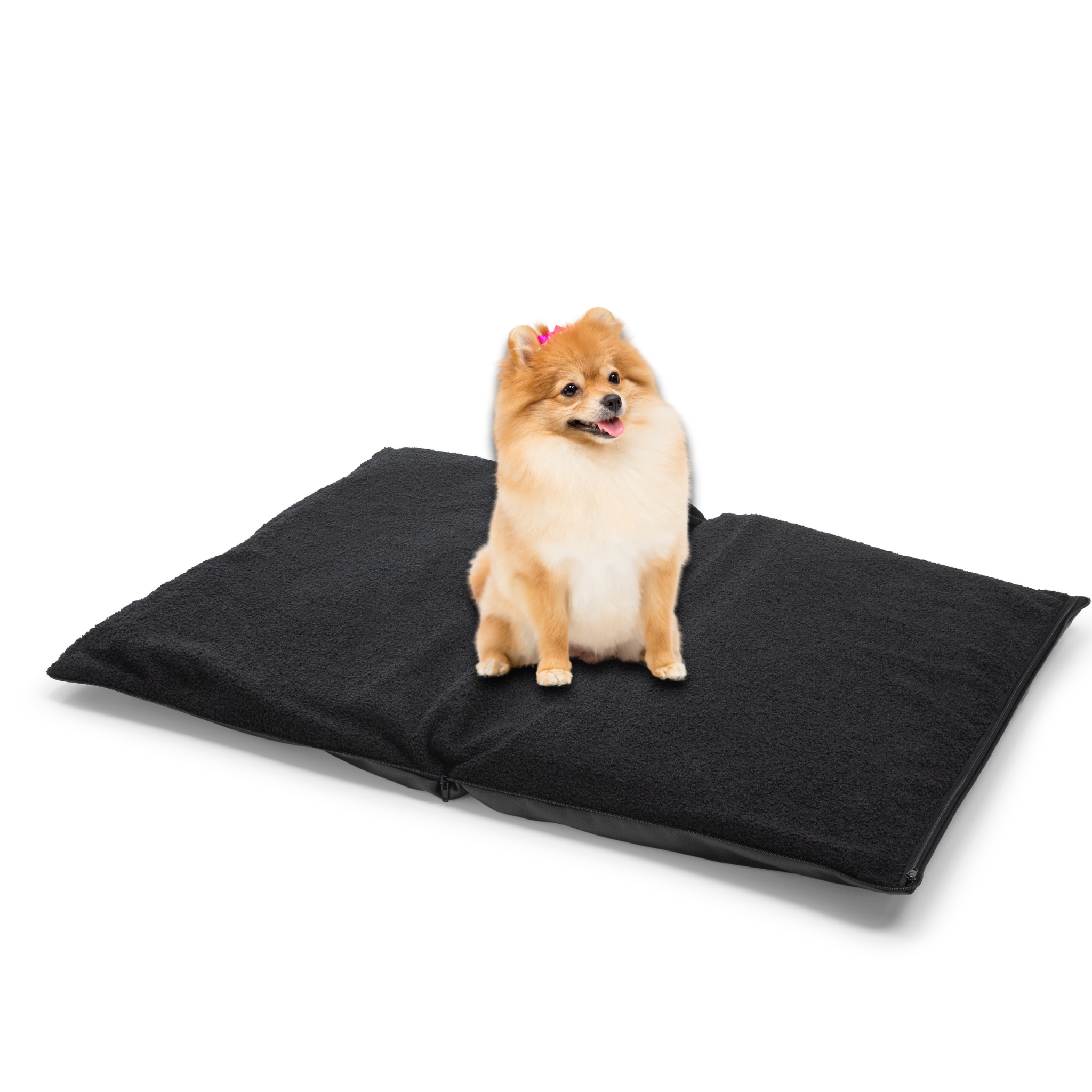 2 in 1 pet mattress and pet bag in black colour, dog sitting on the mattress