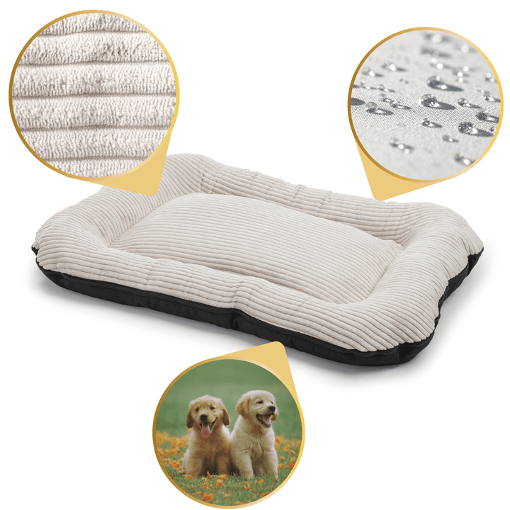 Stylish beige corduroy dog bed with orthopedic support and Oeko-Tex certified fabric