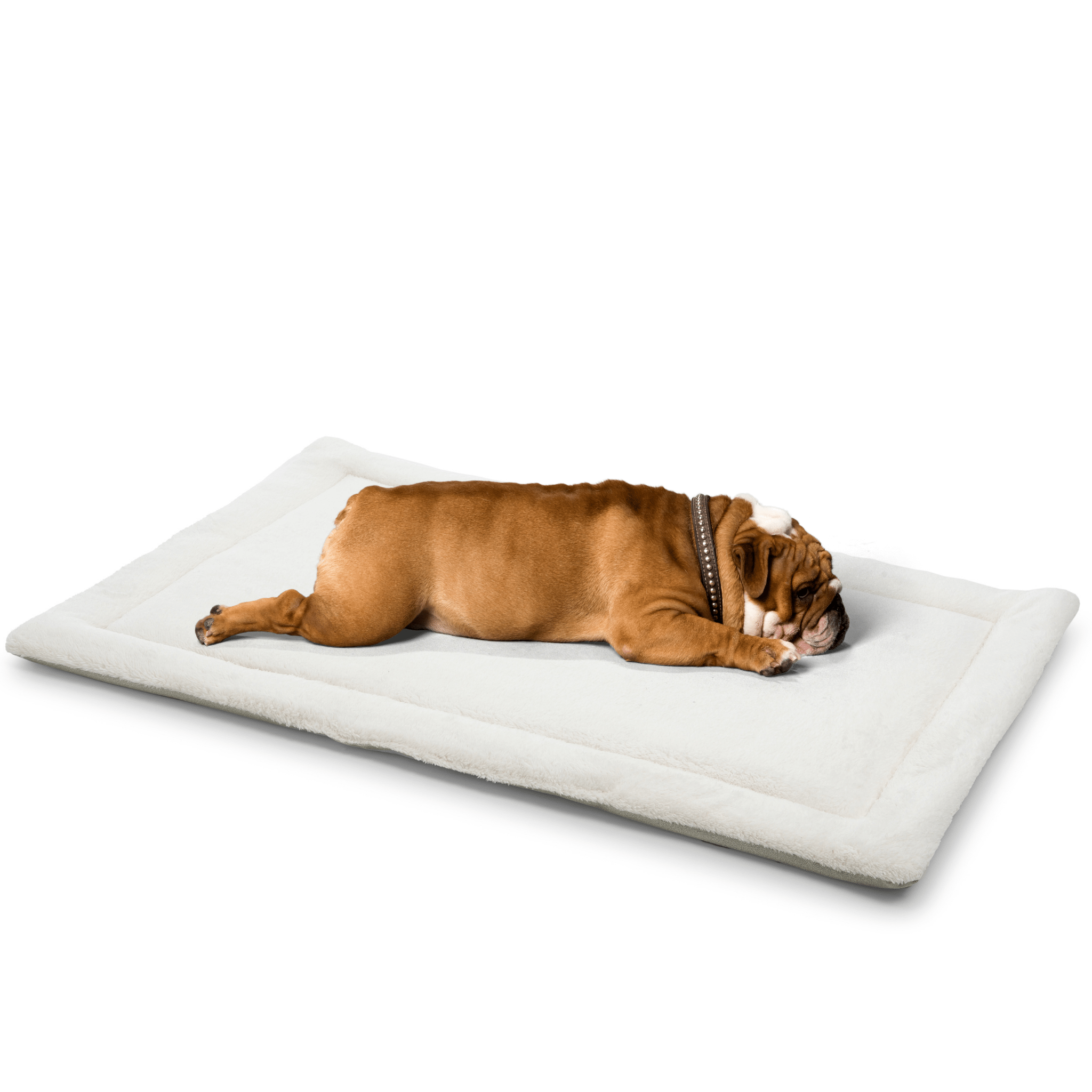 Soft teddy-textured pet bed in white with washable cover and Oeko-Tex certified fabric