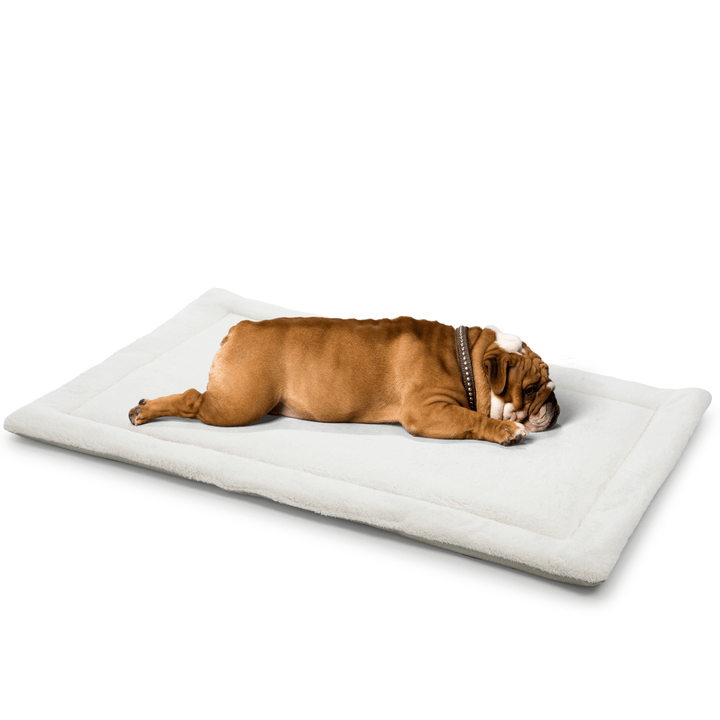Soft teddy-textured pet bed in white with washable cover and Oeko-Tex certified fabric