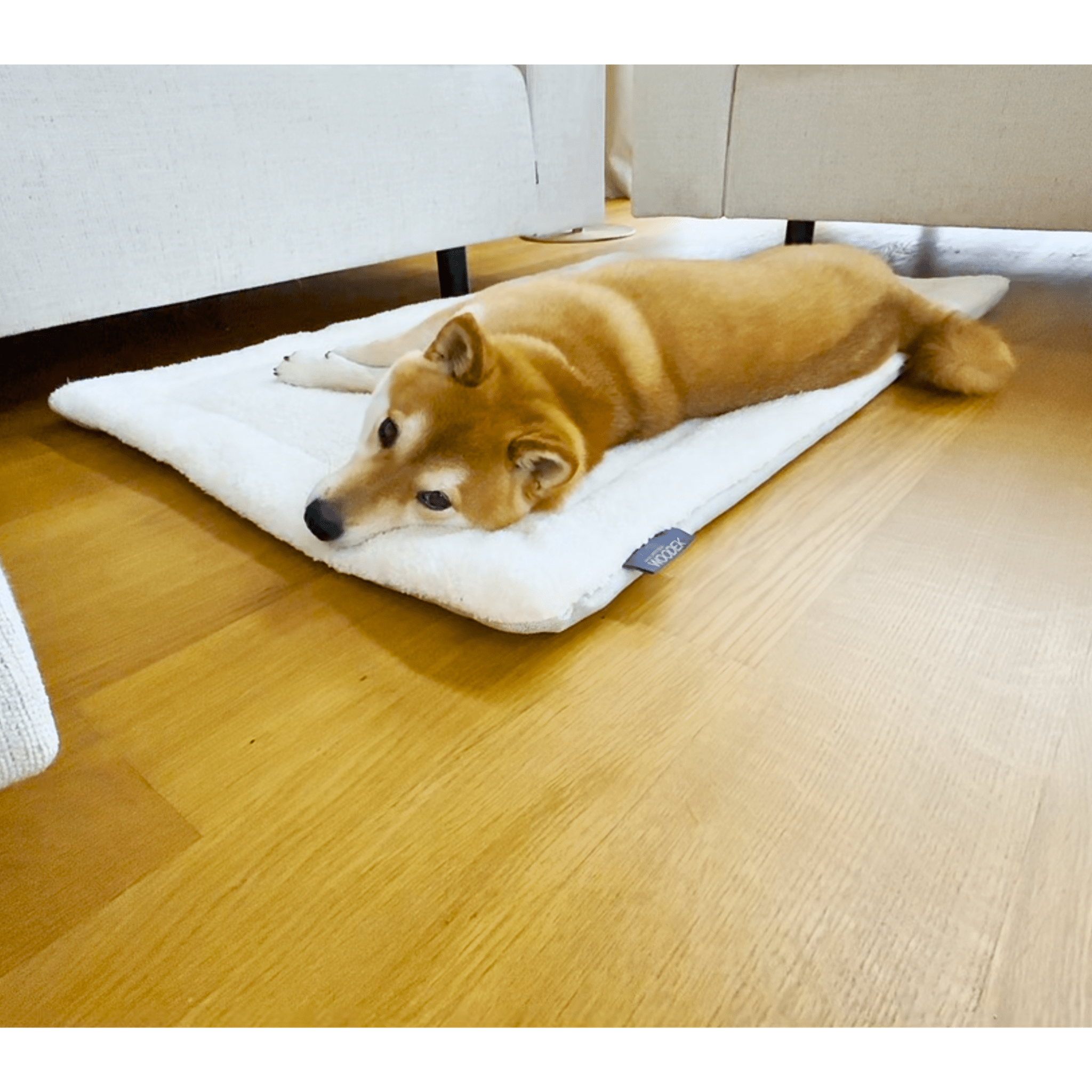 Cozy white dog mattress with plush teddy cover, anti-slip bottom, and machine washable design