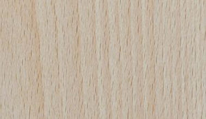 White Beech